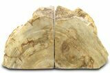Petrified Wood (Tropical Hardwood) Bookends - Indonesia #275614-1